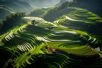 Fotobehang Aerial view capturing the intricate network of terraced paddy fields © KerXing