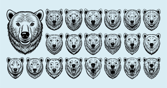 Front view of detailed pollar bear head illustration design set