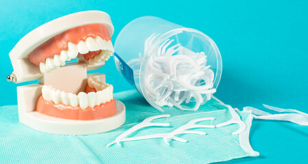 Dental floss and model of a tooth, dental floss toothpick on teal background.