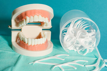 Many dental floss picks and tooth model on teal background.