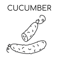 Cucumber vegetable line icons illustration