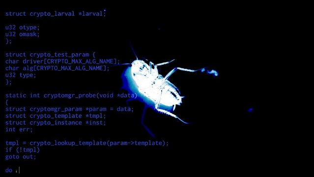 Source code lines, medium size scrolling text from open public domain projects, over the x-ray silhouette of a cockroach, symbol of an annoying computer bug.
