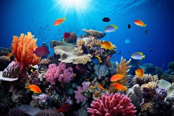 Fototapeta na wymiar Vibrant coral reef teeming with marine diversity