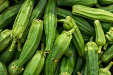 Obraz premium okra, Raw Green Organic Okra Harvest Ready to Cook With,Close up , Farm, fresh okro, exotic, 