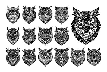 Collection of hand drawn owl bird design vector