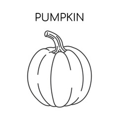 Pumpkin vegetable line icons illustration