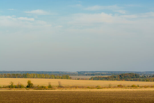 distant landscape of field and forests