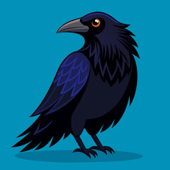 Fototapeta premium raven vector illustration