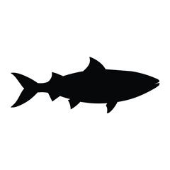 silhouette of a sardine fish  isolated on white