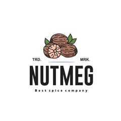 vector illustration of the nutmeg spice logo icon, nutmeg kitchen spice for the cooking industry	
