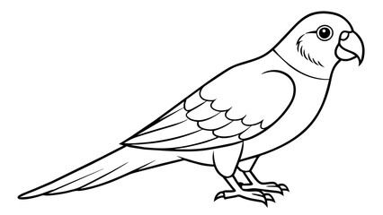Boukers Parrot Vector Art Stunning Illustrations for Your Projects