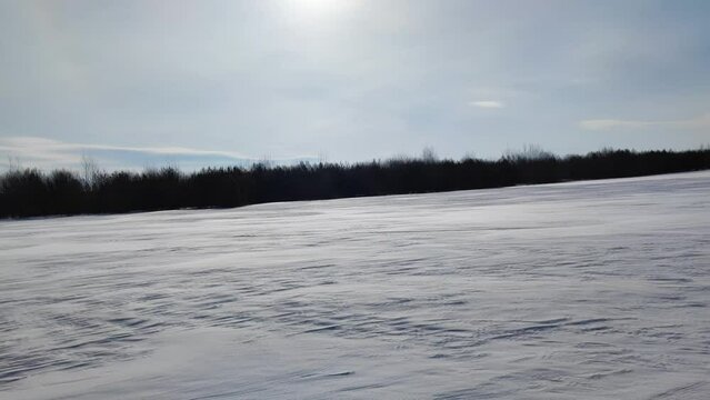 field and forest in winter, panorama