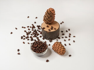 Cedar cones and nuts in shells on a white background.