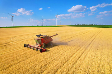 Aerial view of Combine which harvester harvests wheat at sunny day. Agricultural concept.Field...