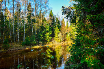 forest river in autumn