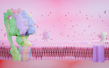 Simulated image of cell membrane, a component of cell wall proteins. Glycoprotein and Glycolipid cholesterol, Peripheral Protein and Lipid Bilayer. 3D Rendering.
