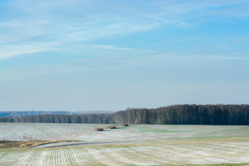 misty noon in the fields of wheat