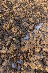 frozen land in an agricultural plowed field in sunny weather