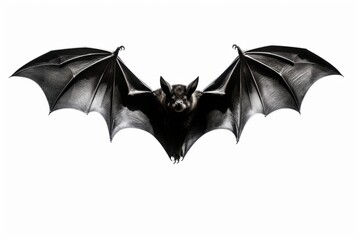 Menacing black bat in flight on a white background.