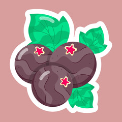  Dry Fruits Flat Stickers 
