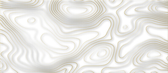Abstract 3d wave paper curved reliefs background .gradient multicolor wave curve lines banner background design .3d topographic contours map background .Vector 3d geographic contour map. - obrazy, fototapety, plakaty