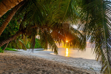Sun shining over a tropical beach - 763454554