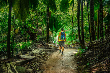Man on a dirt path exploring the jungle - 763454564