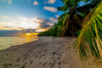 Sunset on a tropical beach with palm trees - 763454574