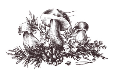 Mushrooms forest boletus with grass, blueberries, moss and cone. Graphic botanical illustration hand drawn in brown ink. For recipes, packaging, autumn festival, harvest. Isolated composition
