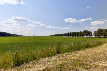 Fototapeta premium cereal growing business in eastern europe