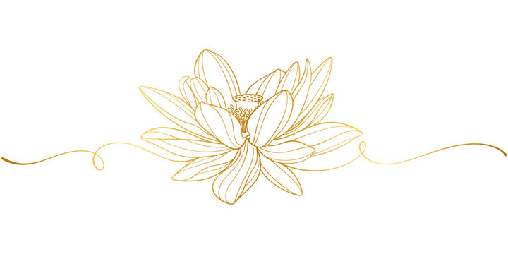 Golden lotus line art vector illustration, vesak day element design	