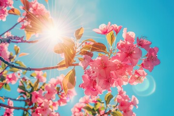 Fototapeta na wymiar blue sky with beautiful and beautiful flowers on a pink tree