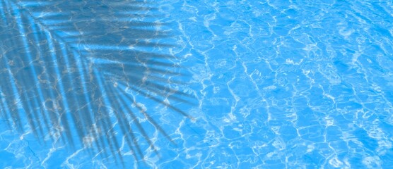 palm leaf shadow on transparent blue  calm wavy water surface texture with sunlight reflexion bubbles, splashes