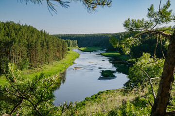 Tranquil River in Verdant Summer Woodlands