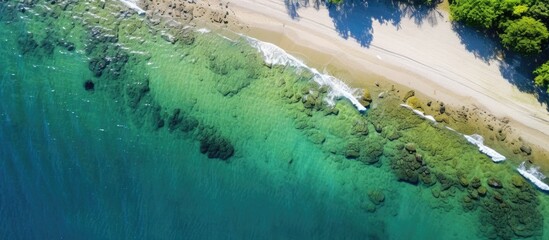 Aerial view of beach with sandy shore and blue ocean