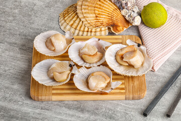 Raw natural scallop in its shell