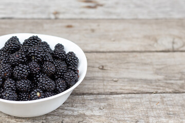 ripe and unripe blackberries on bushes with selective focus. A bouquet of berries.Natural background