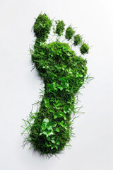 Foot print made of grass, green footprint