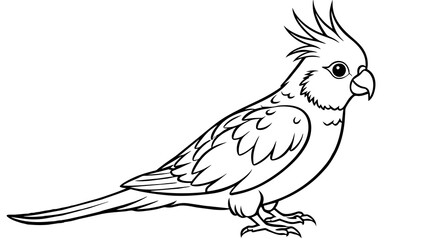 Cockatiel Vector Art Stunning Illustrations for Avian Enthusiasts