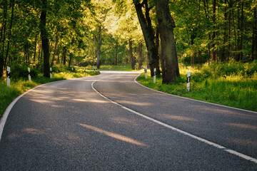 Country road with curves in spring - Landstraße - Allee - Kurve - Straße - Hügel - Brandenburg ...