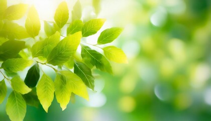 Fototapeta na wymiar art abstract blurred beautiful spring background with fresh leaves