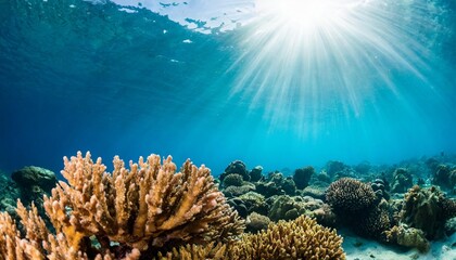 Naklejka na ściany i meble vibrant underwater seascape with sun rays and colorful coral marine life ecosystem in panoramic view ideal for nature backgrounds