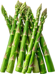 Obraz premium Fresh asparagus bunch standing upright, cut out transparent