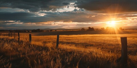 A field enclosed by a fence with a backdrop of a setting sun in the sky - Powered by Adobe