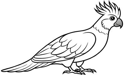 Cockatoo Bird Vector Illustration Stunning Artwork for Your Designs