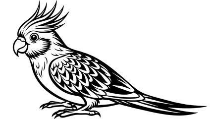 Cockatoo Bird Vector Illustration Stunning Artwork for Your Designs