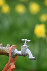 robinet eau secheresse environnement jardin - 763474929