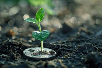 Fotobehang A seedling is growing on a coin lying on the ground. Green investment concept ,Rising money to invest. financial growth concept © Saliento
