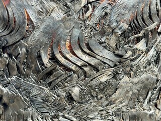 palm bark after fire background