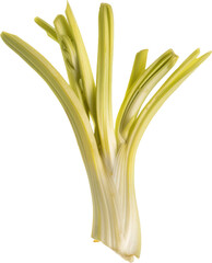 Fresh fennel bulbs with green stalks, cut out transparent